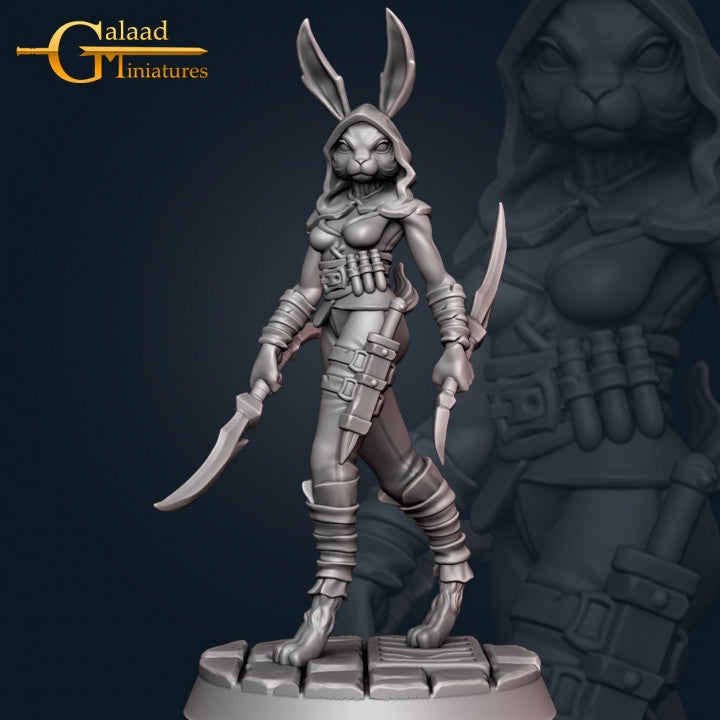 Sofia Shadowpaw, Female Rabbitfolk Assassin